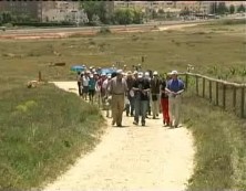 Imagen de Jornadas Estivales De Senderismo En El Parque Natural De La Mata-Torrevieja