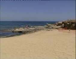 Imagen de 3 Playas De Torrevieja Reciben La Q De Calidad