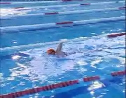 Imagen de La Concejalia De Deportes Pone En Marcha Un Nuevo Curso De Monitor De Natación