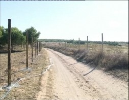 Imagen de El Parque Natural Contará Con Una Zona De Esparcimiento De 30.000 M2