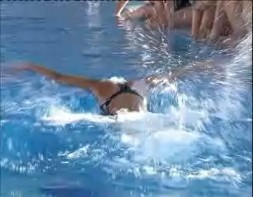 Imagen de El Equipo Belga Absoluto De Natación Se Entrena En Torrevieja Hasta El 17 De Noviembre