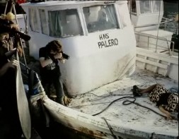 Imagen de Forofoto Entrego Los Permios De Fotomaraton En El Acto De Clausura