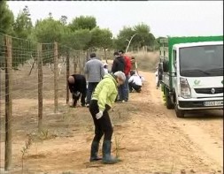 Imagen de Campaña De Reforestacion 2010 De La Diputacion Y Cam Con Plantas Autoctonas