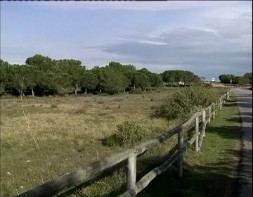 Imagen de Medio Ambiente Organiza Jornadas Ciencia Y Sociedad En El Parque Natural Torrevieja