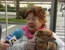 Imagen de Cientos De Animales Fueron Bendecidos A Las Puertas De La Iglesia Inmaculada Concepcion