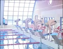 Imagen de Control Federativo De Natacion Con Aletas En La Piscina Municipal De Torrevieja