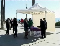 Imagen de Nuhun Se Manifestará En Alicante Para Endurecer El Castigo Del Maltrato Animal