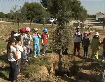 Imagen de Los Más Pequeños Plantan Olivos En El Área Recreativa De Los Albentosa De La Mata