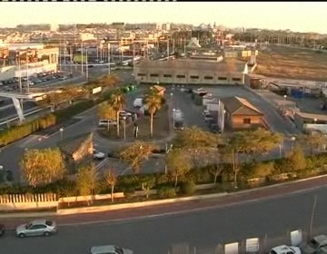 Imagen de Los Verdes Piden Explicaciones Por La Gestion Del Ecoparque De Torrevieja