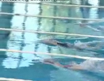 Imagen de Exito De I - Mas En El Campeonato Autonomico C.V. De Natacion Con Aletas 