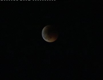 Imagen de Cientos De Personas Contemplaron El Eclipse Total De Luna Desde Las Calas
