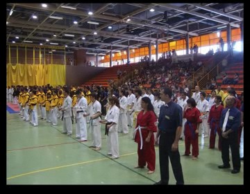 Imagen de El Torrevejense Eneko Delgado Campeã“N De España De Karate Kyokushin