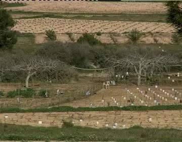 Imagen de 22.000 Personas Han Visitado El Parque Natural De La Mata Y Torrevieja Este Verano