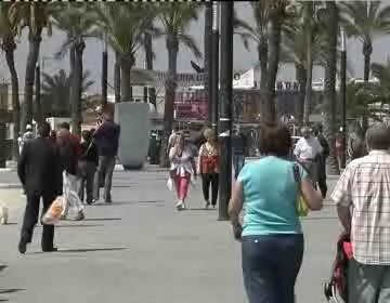 Imagen de El Ayuntamiento Convocará El I Premio A La Ciudadanía Torrevieja, Mi Ciudad 