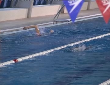 Imagen de Torrevieja acogerá los cursos de monitor de natación de base a partir de enero de 2012