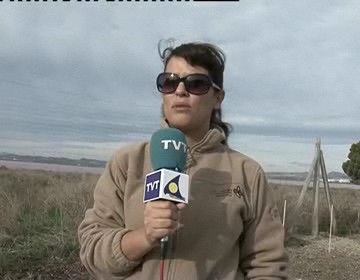 Imagen de Técnicos del Parque Natural llevan a cabo trabajos de eliminación de plantas invasoras