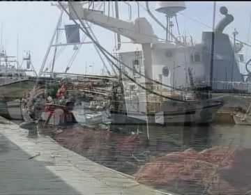 Imagen de Los pescadores de Torrevieja molestos por el exceso de uso de la pesca del pulpo