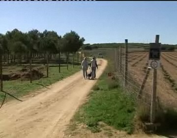 Imagen de Policía local y guardia civil resuelven con éxito un caso de robo en el área de Lo Albentosa