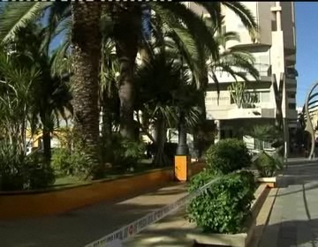 Imagen de Parques y jardines inicia la poda de palmeras en todo el término municipal