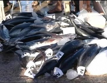 Imagen de El alcalde arropará en Melilla al RCNT en la presentación del campeonato del mundo de pesca