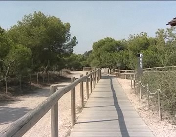 Imagen de El parque de la Mata y Torrevieja recibe 6.663 visitas entre enero y abril