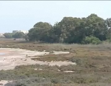 Imagen de El parque natural de Torrevieja acogerá una jornada dedicada a personas con discapacidad visual