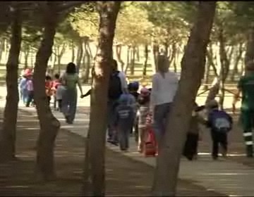 Imagen de Los escolares de Torrevieja celebran el sábado el día mundial del medio ambiente