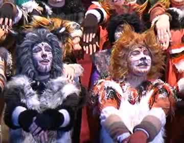 Imagen de Un grupo de jóvenes residentes internacionales representó en el Teatro Municipal el musical Cats