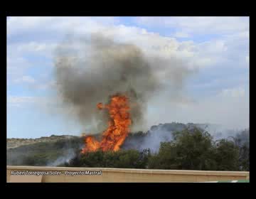 Imagen de Un incendio con tres focos arrasó 2 hectáreas en el Parque Municipal del Molino del Agua