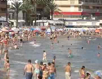 Imagen de Las playas de Torrevieja consiguen cinco banderas azules