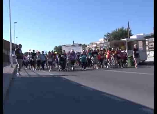 Imagen de Más de 300 personas participaron en la Carrera Solidaria convocada por AFA Torrevieja