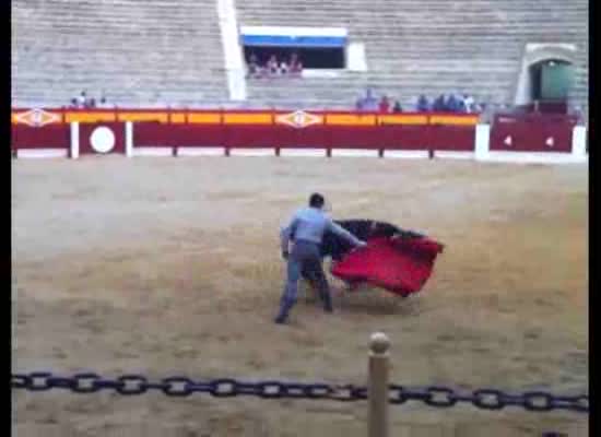 Imagen de El joven novillero torrevejense Borja Ximelis triunfa en la Plaza de Toros de Alicante