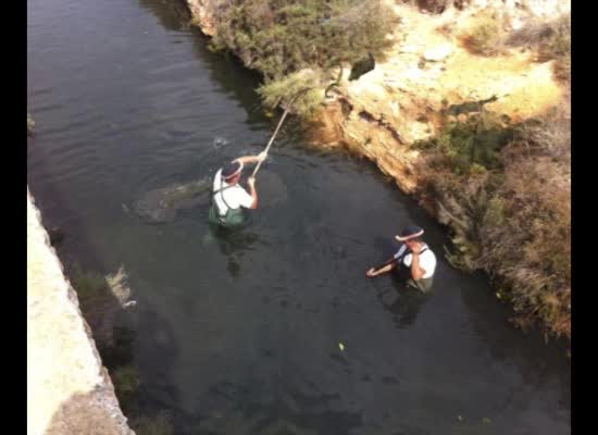 Imagen de El Ayuntamiento y las Salinas toman medidas para atajar la llegada de vegetación a la bahía