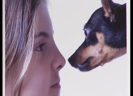 Imagen de La E.M.de Fotografía expone la muestra The Animals en la sala Virgen del Carmen hasta el día 21