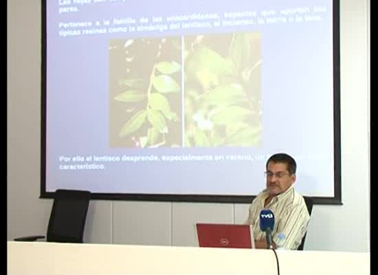 Imagen de Juan Antonio Pujol impartió la conferencia titulada La Mata, un topónimo de origen vegetal