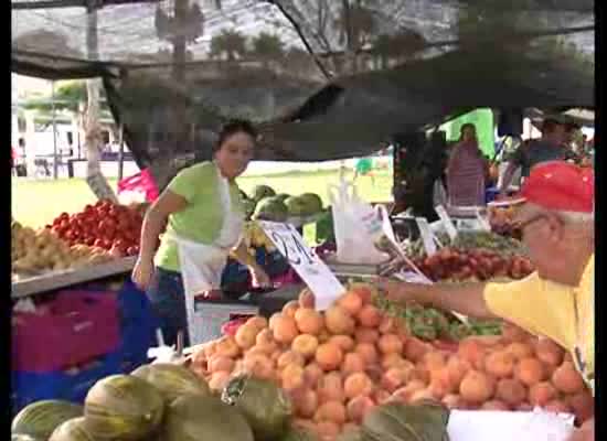 Imagen de El mercadillo semanal de Torrevieja se traslada a este jueves 31 de octubre