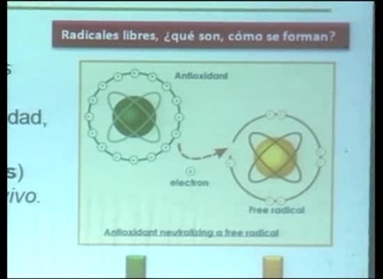 Imagen de El aceite de oliva como fármaco natural en la V Semana de la Ciencia