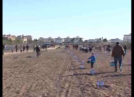 Imagen de Varios cientos de ciudadanos plantaron unos 3.000 pinos y árboles autóctonos en Lo Albentosa