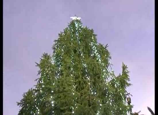 Imagen de El alcalde realizó el encendido del árbol de navidad regalo del ciudadano sueco Eric Person