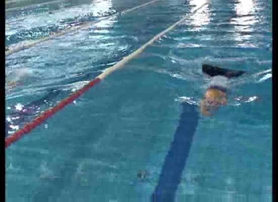 Imagen de El Club de Natación con Aletas I Mas de Torrevieja logró buenos tiempos en el Control Federativo