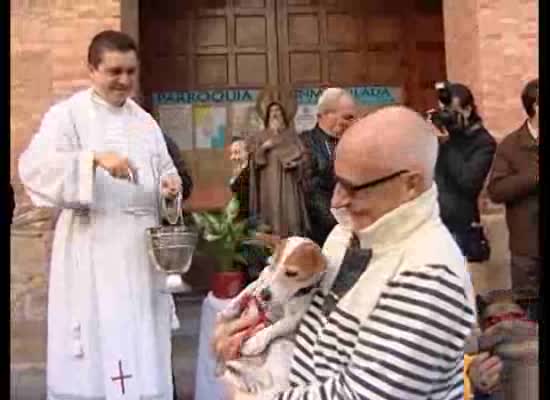 Imagen de El sacerdote de la Inmaculada Román Rodríguez bendijo a los animales el Día de San Antón
