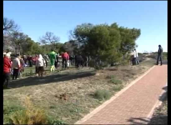 Imagen de NNGG de Torrevieja organiza este sábado una reforestación del Parque del Molino del Agua