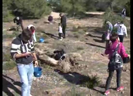 Imagen de NN.GG. DEL PP reforestó el Paraje Natural Municipal del Molino del Agua con 800 pinos carrasco