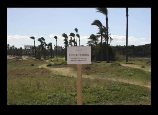 Imagen de Actos vandálicos en el Palmeral de Ferris en Torrevieja