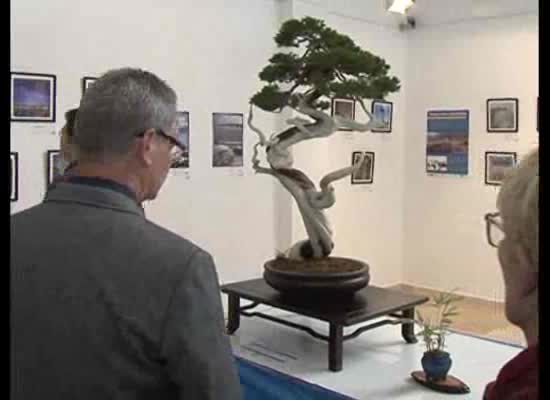 Imagen de El Cónsul General de Japón y el alcalde Eduardo Dolon inauguraron las XII Jornadas del Bonsai