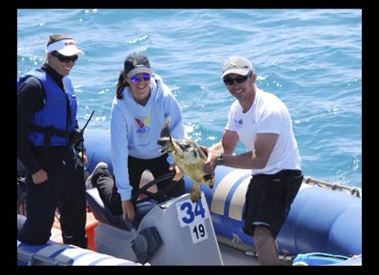 Imagen de El RCNT de Torrevieja rescata una tortuga boba