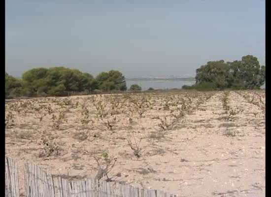 Imagen de El Parque natural de la Mata-Torrevieja organiza la ruta guiada 