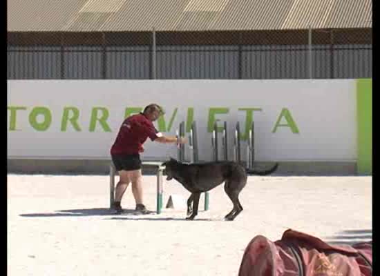 Imagen de Unos 100 perros participaron en la 6ª Prueba de Agility realizada en las instalaciones del club