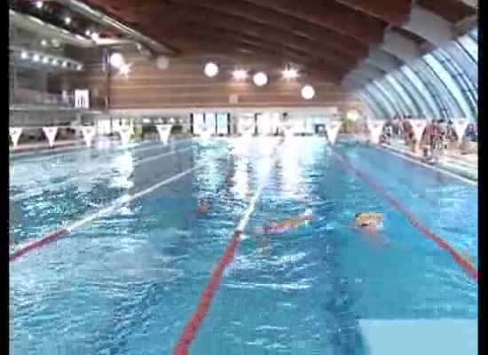 Imagen de Más de 300 nadadores participaron en el 4º Campeonato Autonómico Máster de Natación