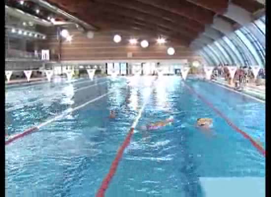 Imagen de Más de 300 nadadores participaron en el 4º Campeonato Autonómico Máster de Natación